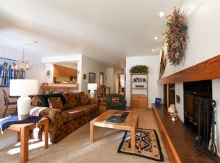 240 Tennis Club Rd #1672, Dillon, CO 80435