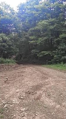 2nd image of Kansas Branch Road - Vacant Land