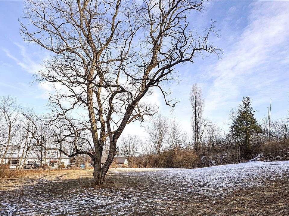 1st image of Soltis Dr