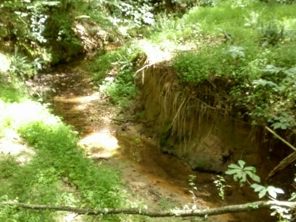 1st image of 8109 Moores Mill Ct