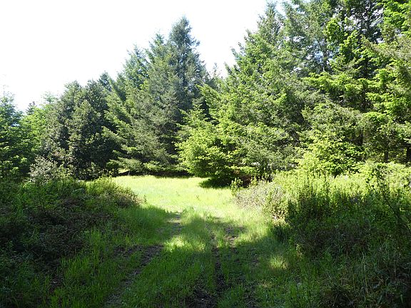 3rd image of 20 Hillside Dr