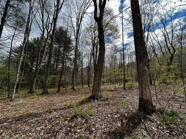 Wolf Hills Rd, Gap Mills, WV 24941