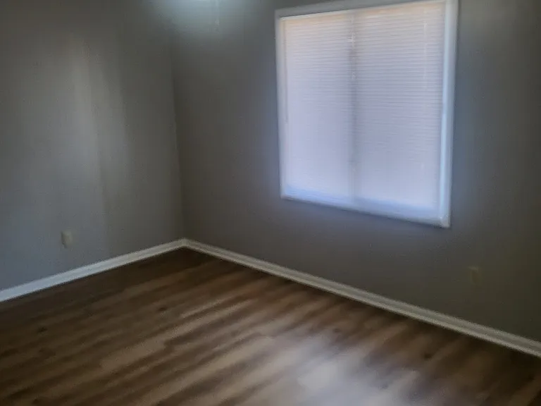 1207 Firestone Dr — Photo 10