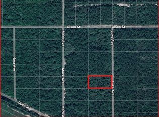 1069 Luke Ave, Hastings, FL 32145