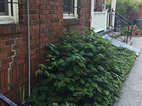 beautifully landscaped 