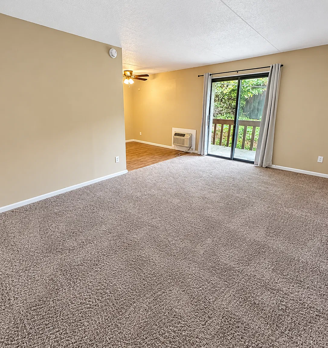 1 bed, 800 sqft, $950 — Photo 2