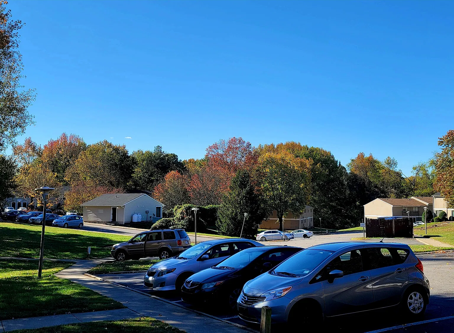 2 bed, 800 sqft, $1,195 — Photo 3