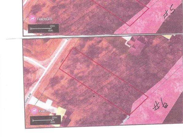 5-6 Lakeside Dr, Perrinton, MI 48871