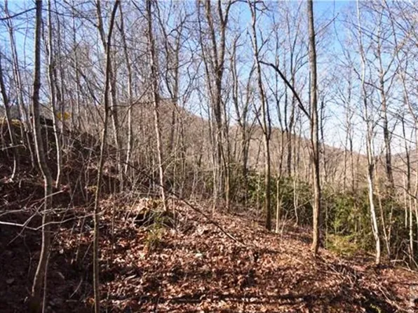 26 Henry Dingus Way, Maggie Valley, NC 28751