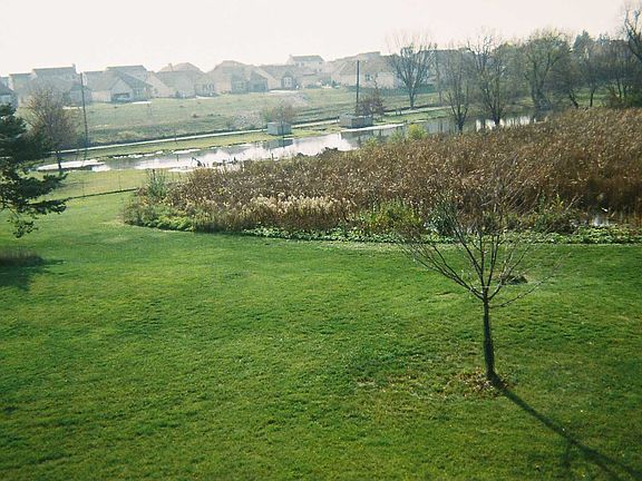 View from Deck