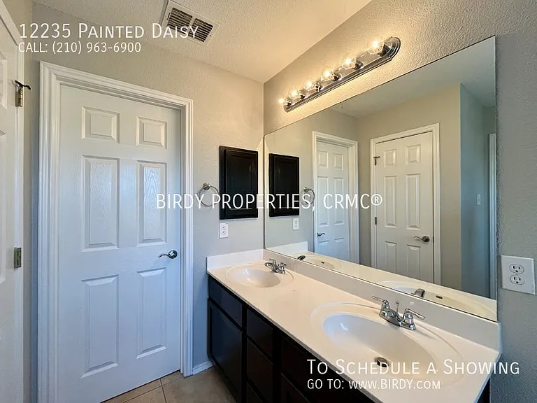 12235 Painted Daisy — Photo 27