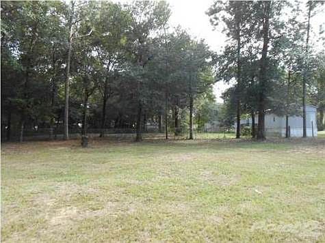LARGE BACKYARD