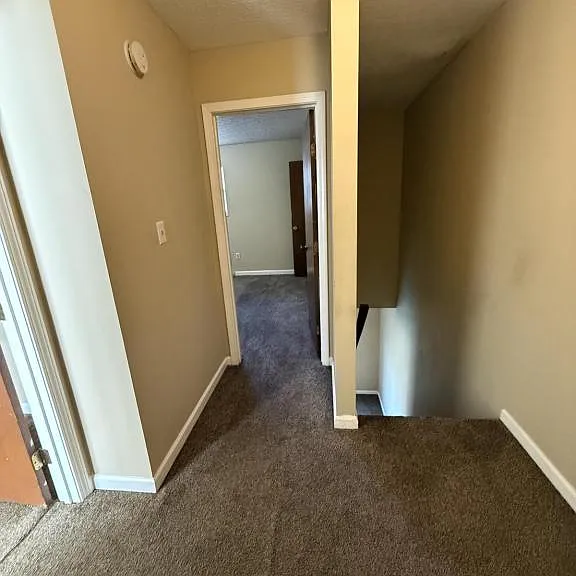 1238 Clear Ridge Ln — Photo 5