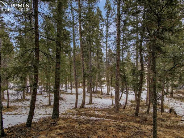 8 Will Scarlet Dr, Divide, CO 80814