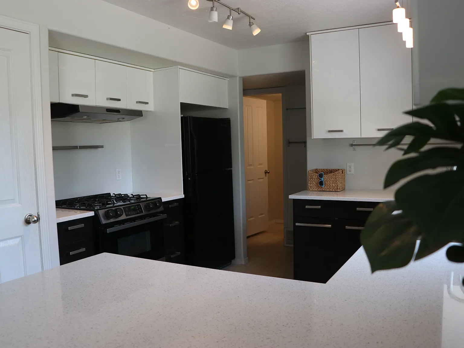 4 bed, 2.5 bath, 1600 sqft, $2,300 — Photo 3
