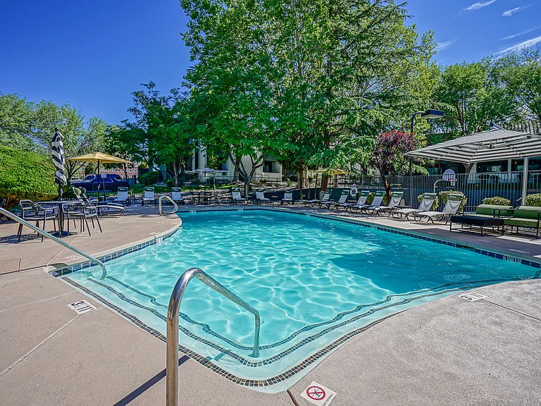 Sparkling Swimming Pool