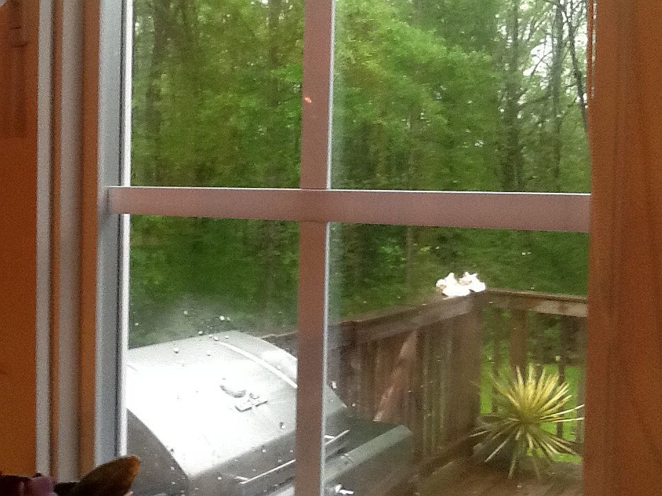 2nd image of 213 Belmont Stakes Way