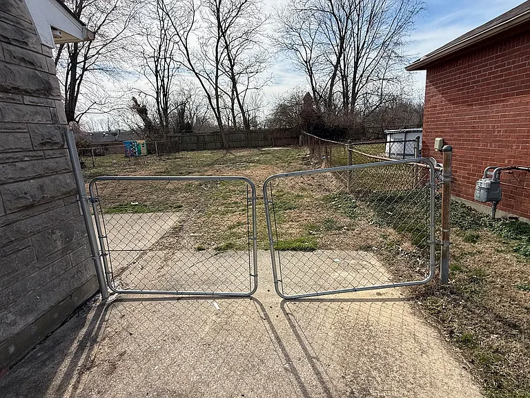 Driveway and Backyard