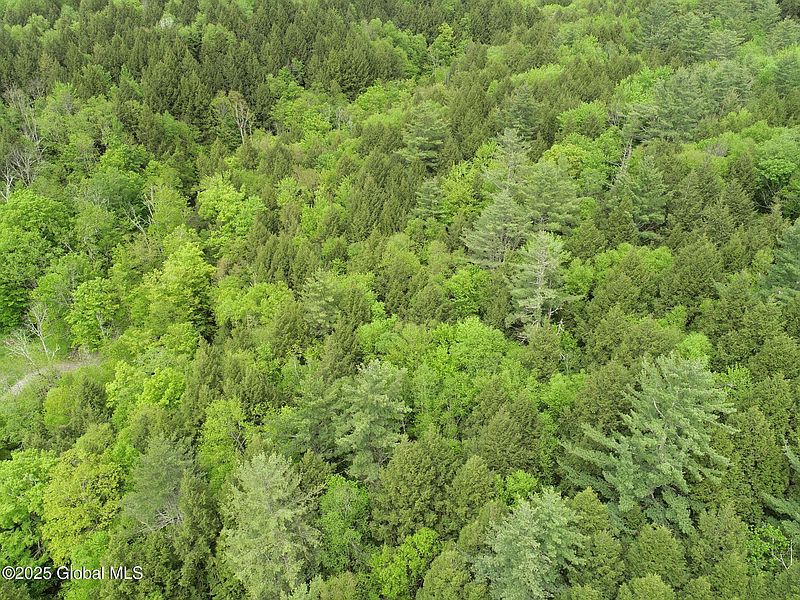 3rd image of 124 Deer Valley Road