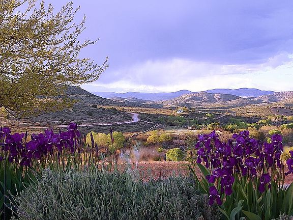 Oak Creek below the 2 houses