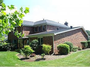 Back View
