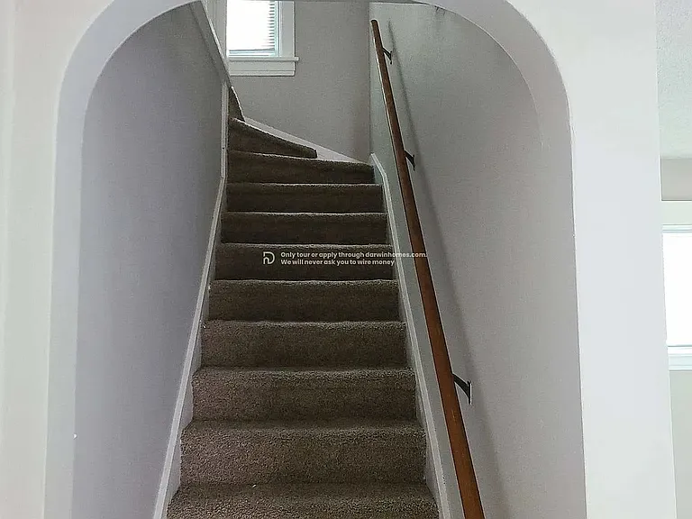 jpg