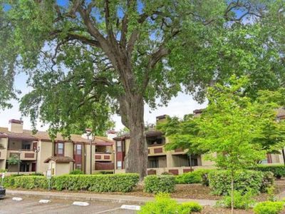 1391 Monument Blvd APT 20, Concord, CA, 94520