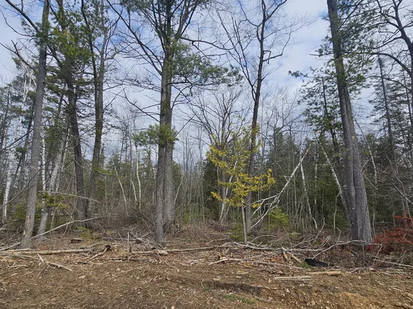 Lake Winyah Rd, Alpena, MI 49707