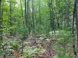 Nagashi Dr, East Jordan, MI 49727