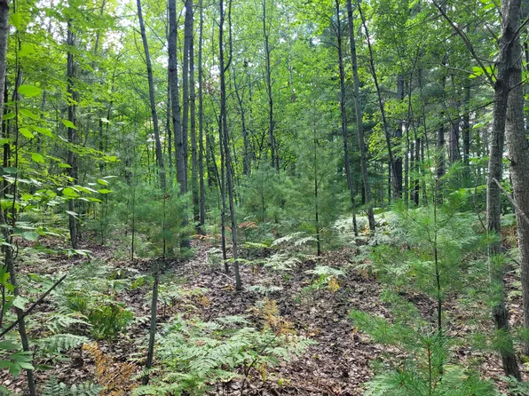 Nagashi Dr, East Jordan, MI 49727