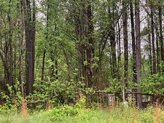 Exterior Neighborhood (street photo)