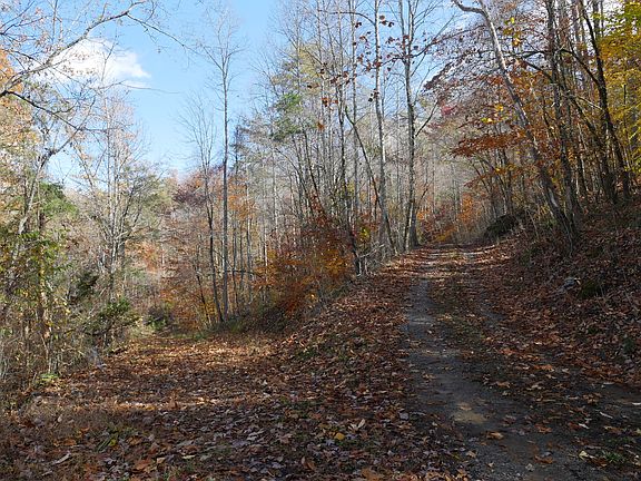 5th image of 444 Silver Leaf Poplar Ln Lot Wp001