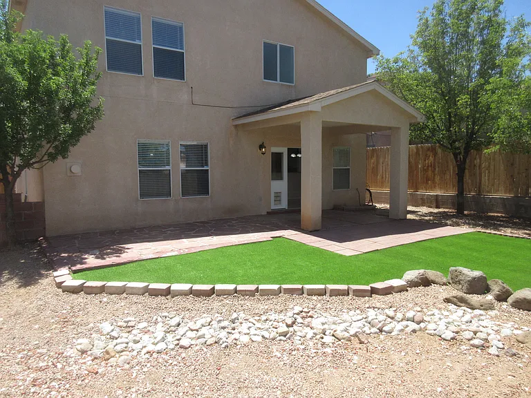 Back Yard