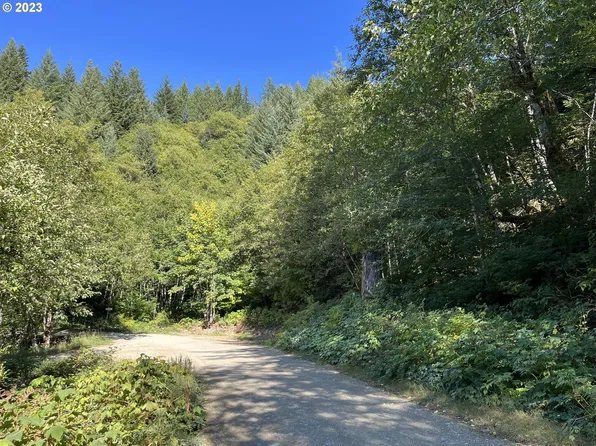 Skamania Mines Rd, Washougal, WA 98671