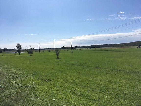 4th image of 4179 Bayou Black Dr