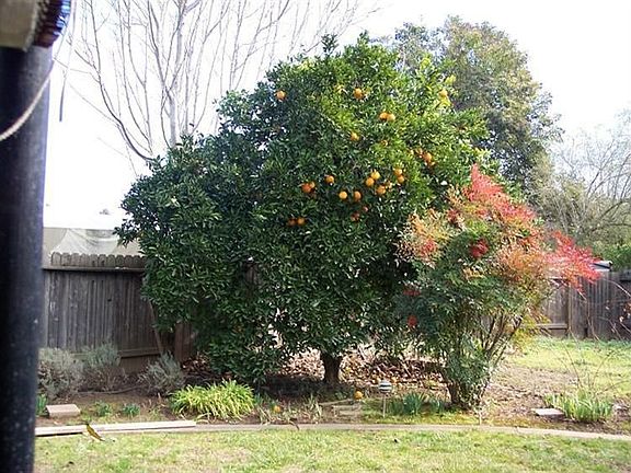 4th image of 8921 Salmon Falls Dr