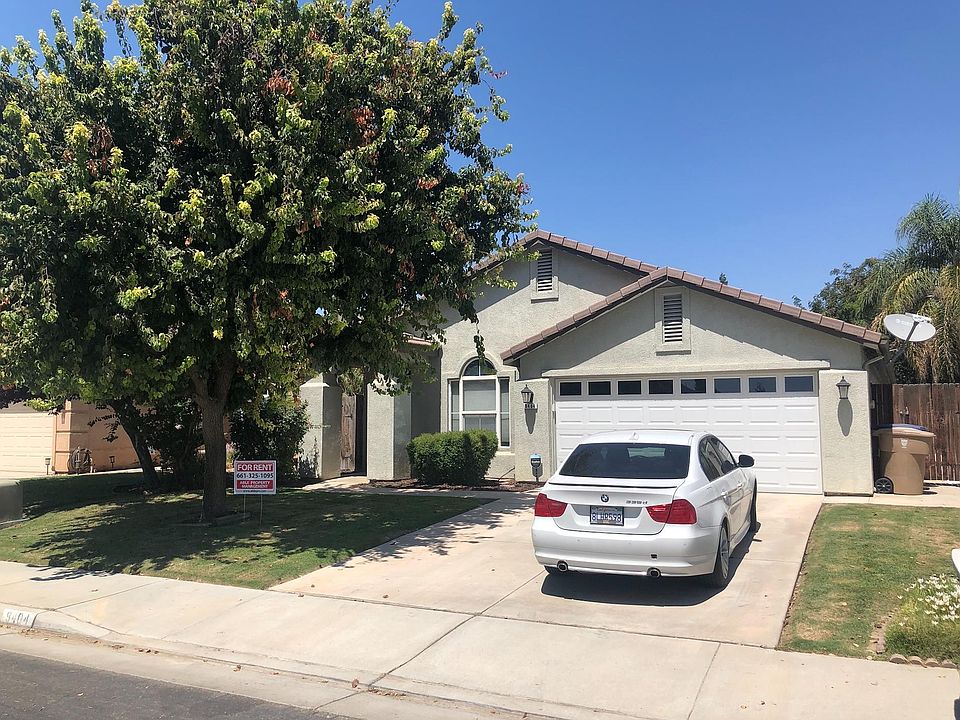 Beautiful shade tree in front