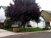1st image of 3716 NE 163rd Ave