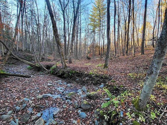 5th image of 535 Collar Hill Road
