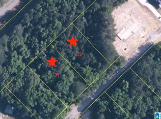 LOT Lake Hills Ln #31 & 32, Northport, AL 35475