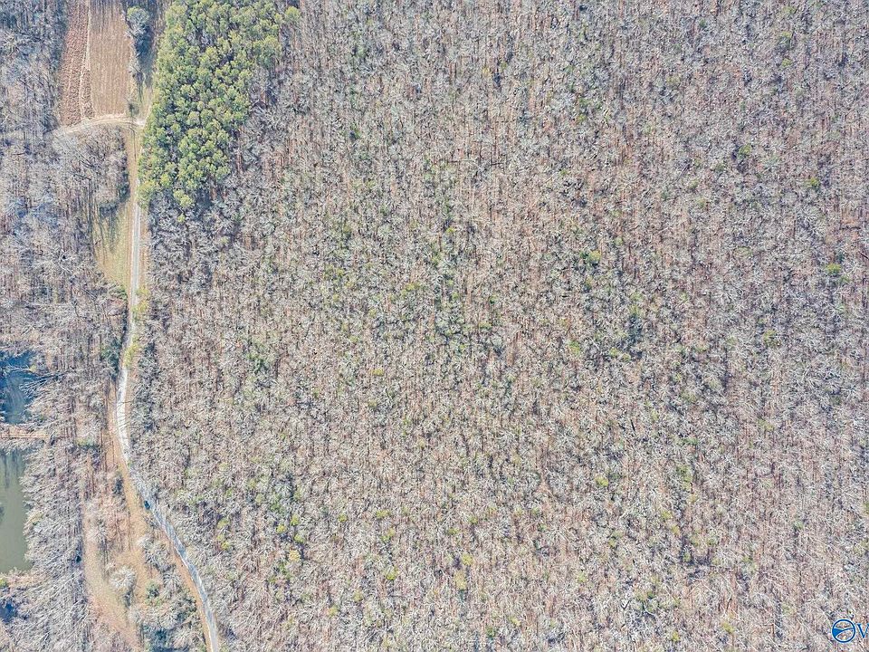 2nd image of TRACT 17 Rock Spring Rd