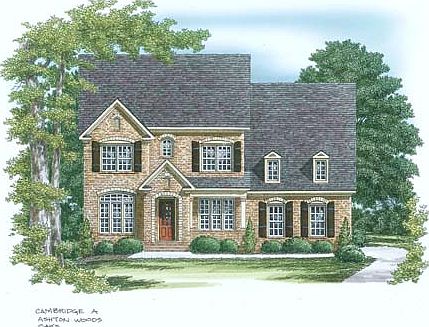 ElevationImage