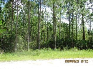 180 Farrier Pass, New Smyrna Beach, FL 32168
