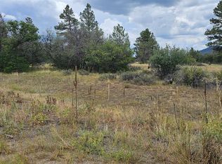 19 E Crescent Ct, Pagosa Springs, CO 81147