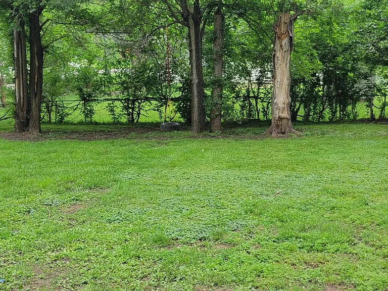 Spacious fenced in backyard