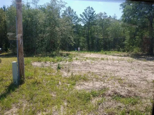CAMPHOR ROAD, LADY LAKE, FL 32159