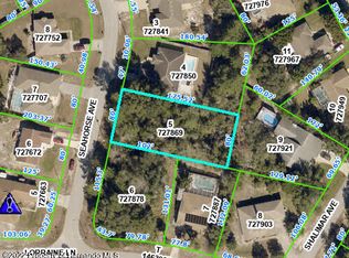 0 Seahorse Ave, Spring Hill, FL 34608