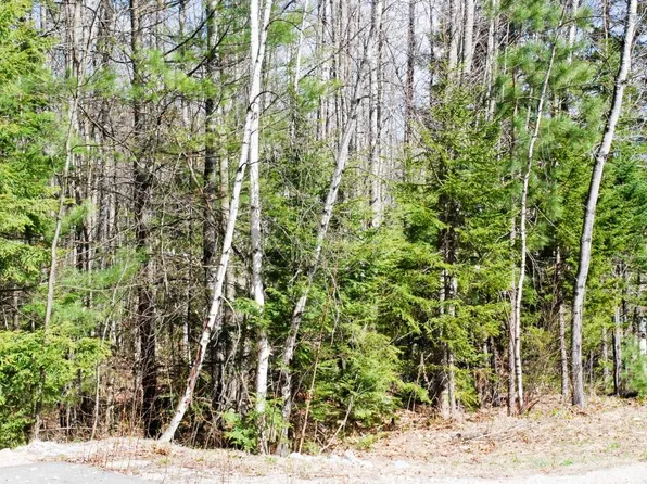 55 Grandview Drive, Conway, NH 03818