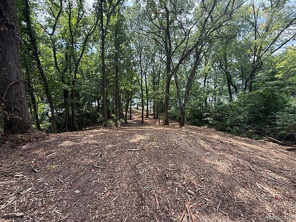 4th image of 0 E Coon Lake Trl