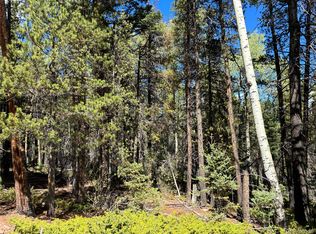 LOT 3307 Grojean, Fort Garland, CO 81133